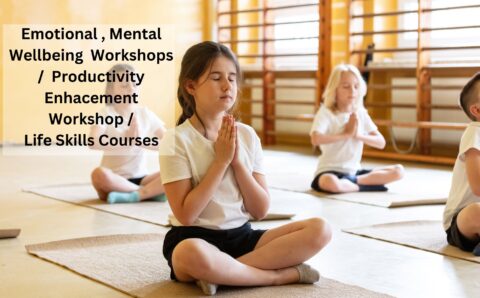 emotional wellbeing, productivity enhacement, mental wellbeing,life skills in wakad pune